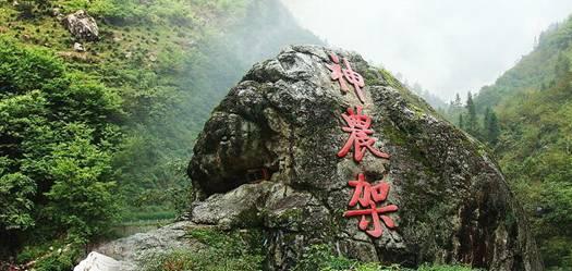 竞技宝怎么回事?网站打不开了
